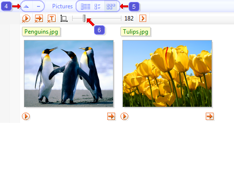 File view of the program FileProtected