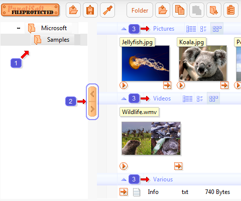 Preview of the program FileProtected