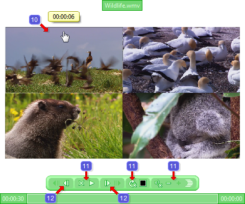 Video player in the program FileProtected