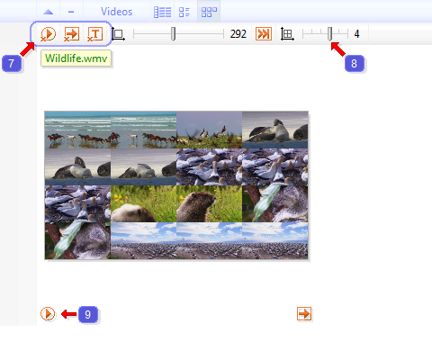 Video preview in the program FileProtected