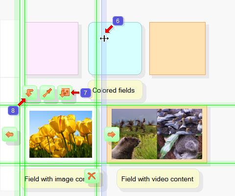 Page fields in the program HelpWriter