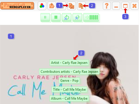 Preview of the program MediaPlayer